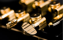 Load image into Gallery viewer, Duesenberg Starplayer TV Custom Black