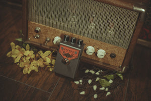 Beetronics Fatbee *Limited Edition Edition