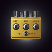 Load image into Gallery viewer, Jackson Audio Golden Boy
